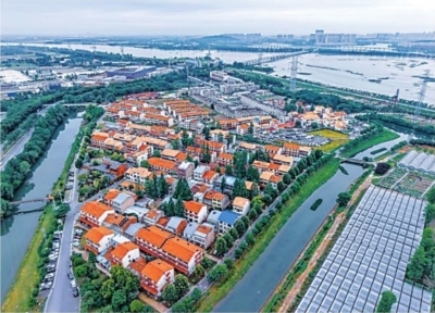 4_1850780_b.jpg