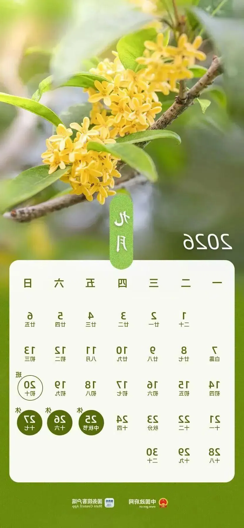 体育在线365手机版