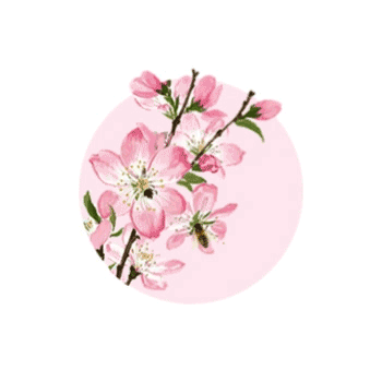 体育在线365手机版
