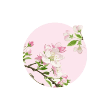 体育在线365手机版