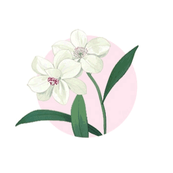 体育在线365手机版