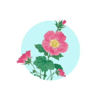 体育在线365手机版