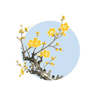 体育在线365手机版